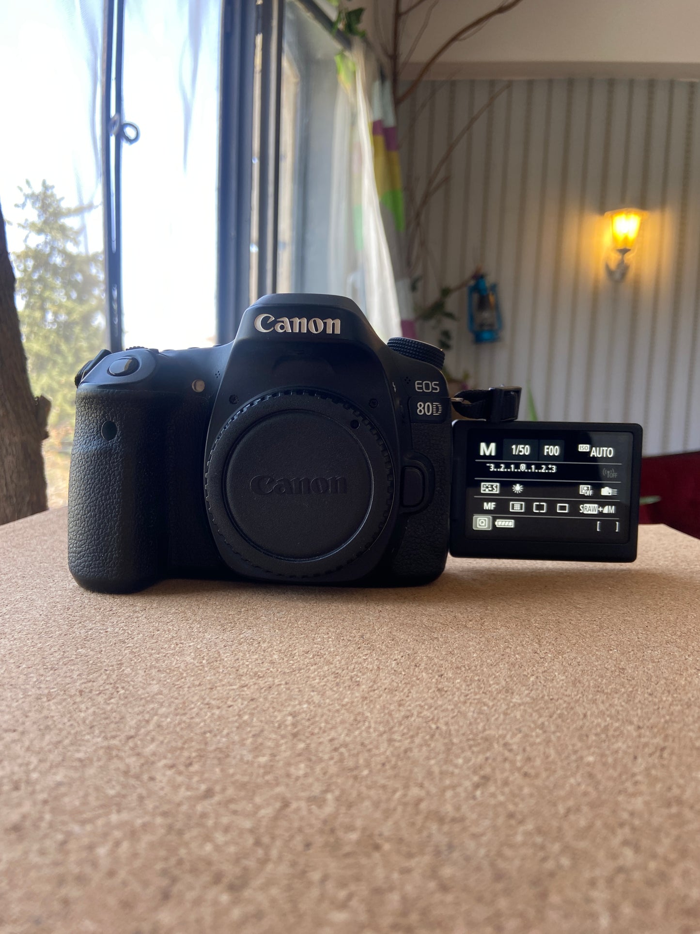 Canon EOD 80D Body + battery + charger (USED IN GREAT CONDITION)